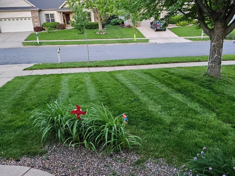 Lawn Care Guide For Homeowners