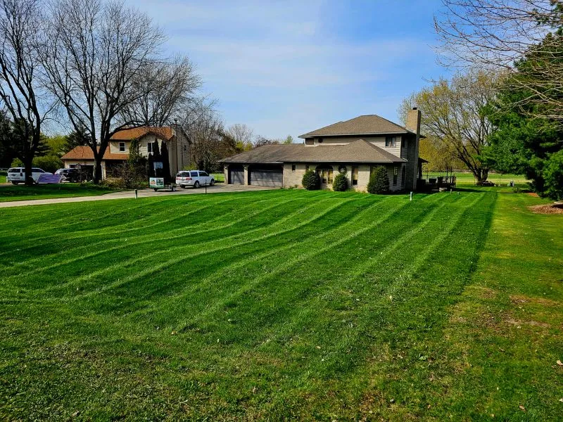 common-lawn-problems-you-can-fix