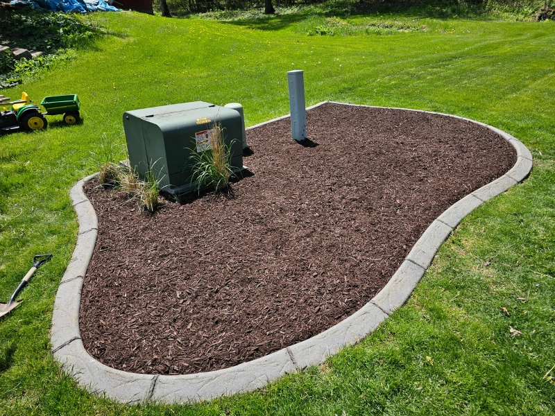 How Mulching Improves Soil Structure